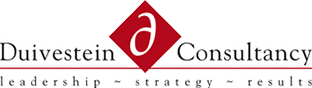 Duivestein Consultancy logo